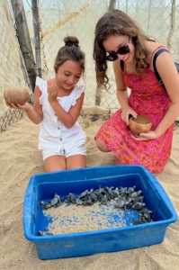 two children worldschooling on the beach with baby turtles in Todos Santos