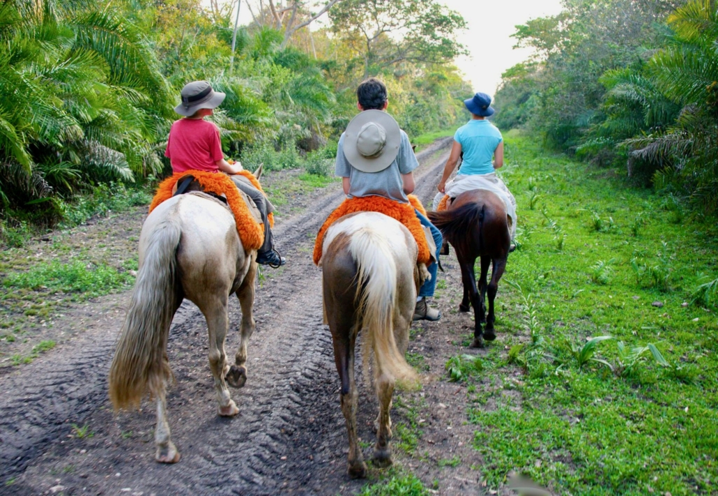 world schooling in the Pantanal boys on a horse
