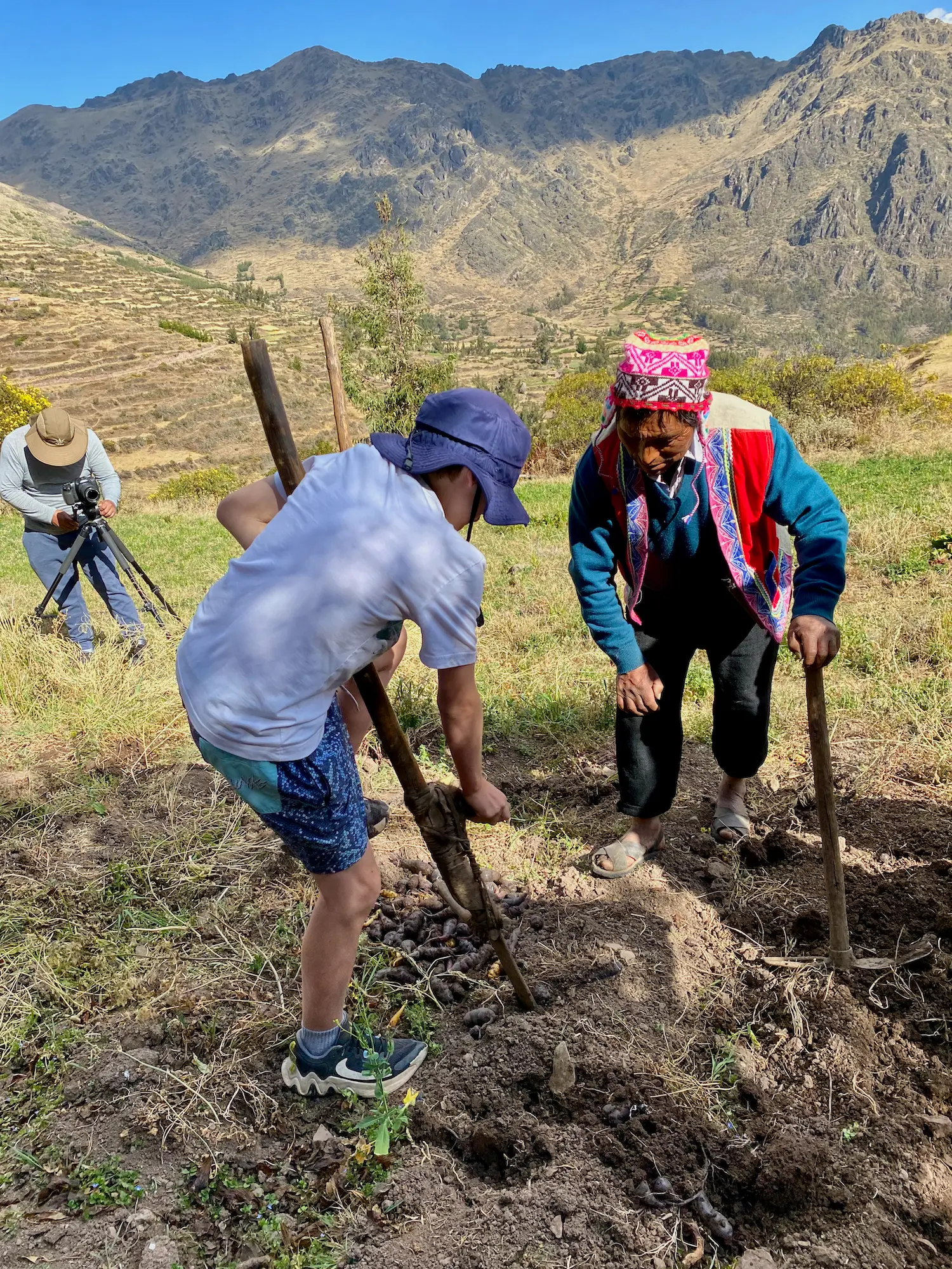 child learning how to harvest potatoes while worldschooling