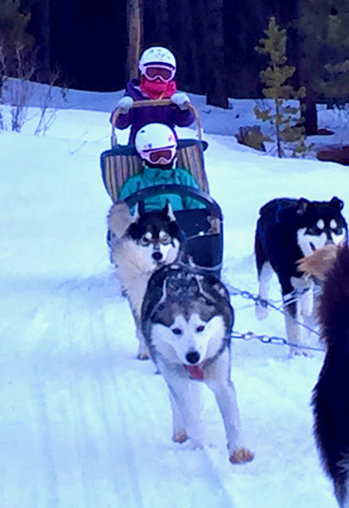winter worldschooling, dogsledding with kids, Breckenridge dog sledding