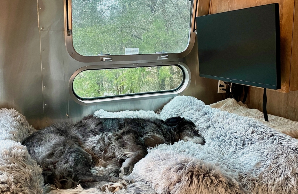 Dog in Airstream; empty nester travels